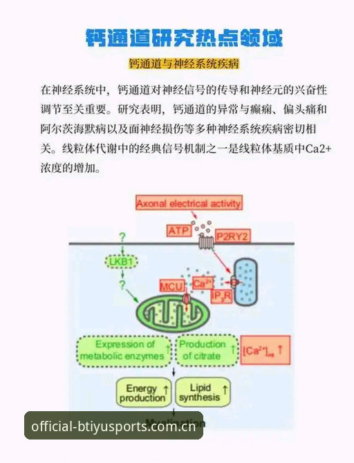 3个关键信号：B体育官方版本v3.4.2升级背后的行业逻辑